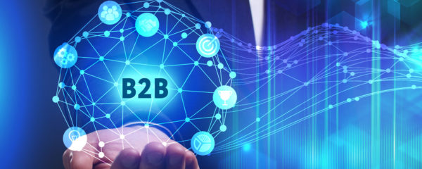 plateforme B2B